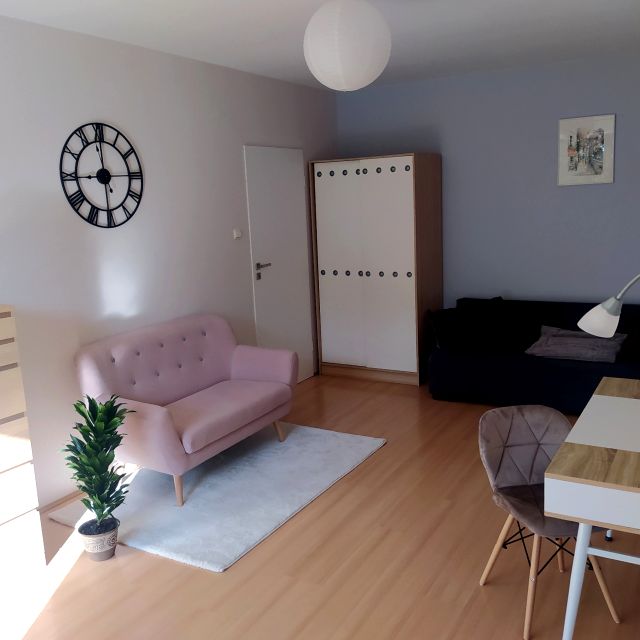 Mieszkanie W Apartamentowcu Wysoki Standard M Na Wynajem Pozna