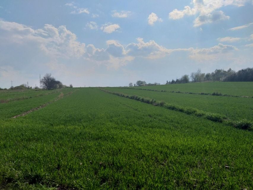 Sprzedam działkę 2900 m² rolną ul Wierzbowa Krosno Białobrzegi