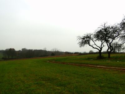 Działka budowlano-rolna Zbrosławice