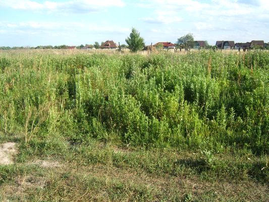 Działka budowlana Mirków