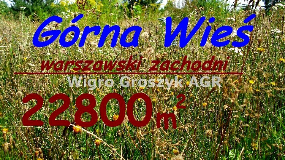 Działka rolna Górna Wieś