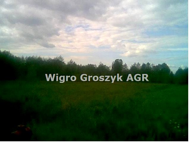 Pusta działka Cybulice Małe