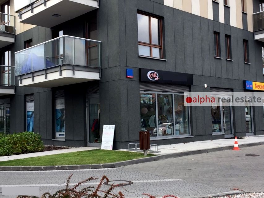 Lokal Warszawa