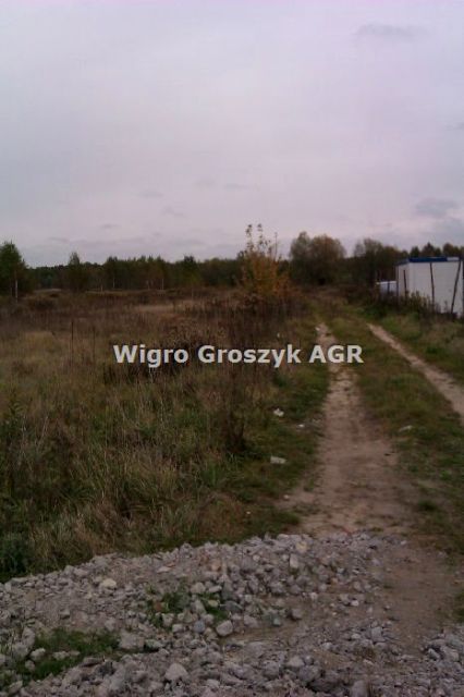 Zdjęcie 2