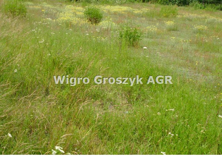 Pusta działka Sowia Wola