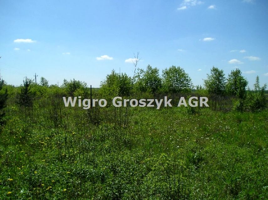 Zdjęcie 2