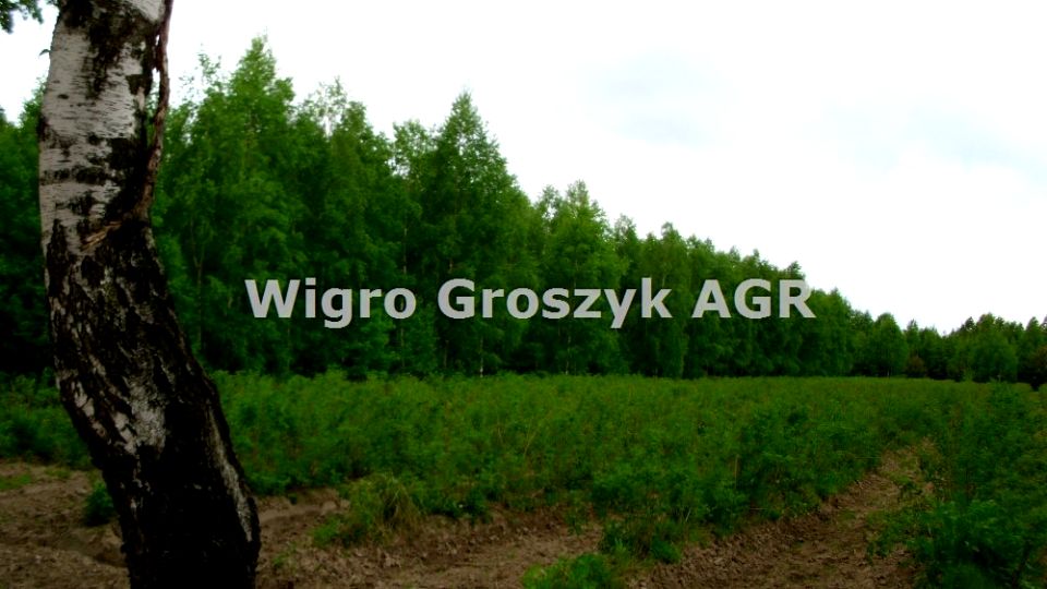 Pusta działka Załuski