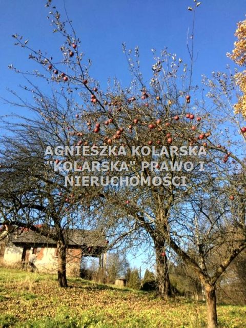 Działka budowlana Brzoskwinia