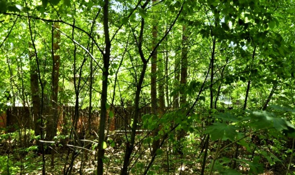 Działka budowlana Warszawa