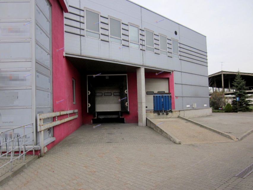 Budynek użytkowy Warszawa wynajem
