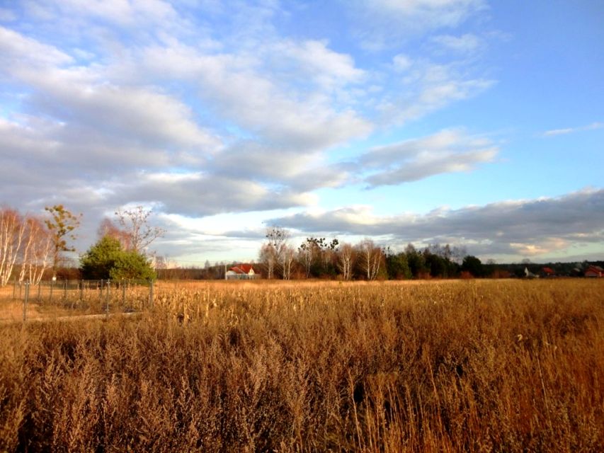 Działka budowlana Chwałowice sprzedam