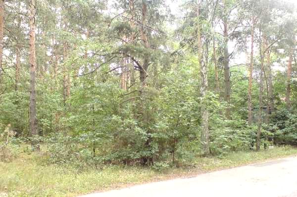 Działka budowlana Warszawa