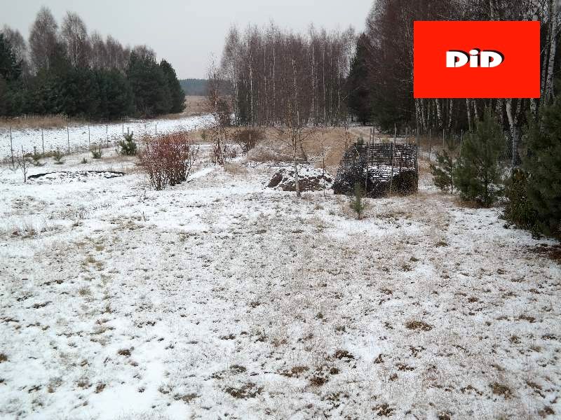 Działka rolna Krasice