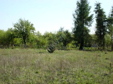 Działka budowlana Leszno