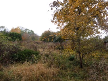 Działka budowlana Grodzisk Mazowiecki