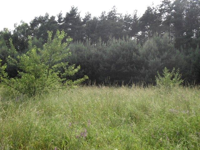 Działka Kotórz Mały