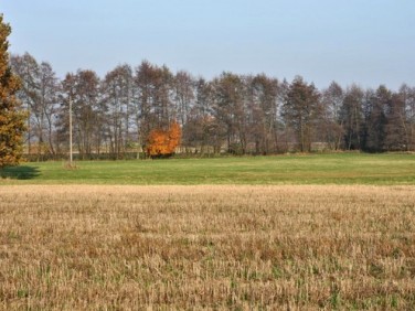 Działka budowlana Nekla