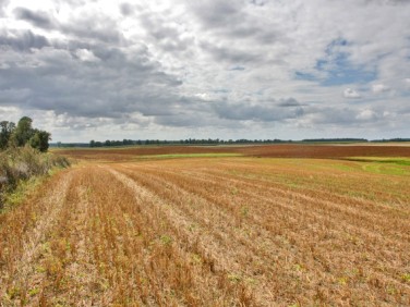 Działka rolna Zielona Góra