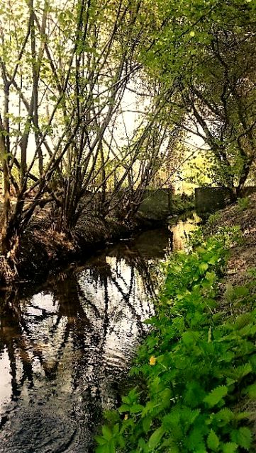 Działka budowlana Warszawa