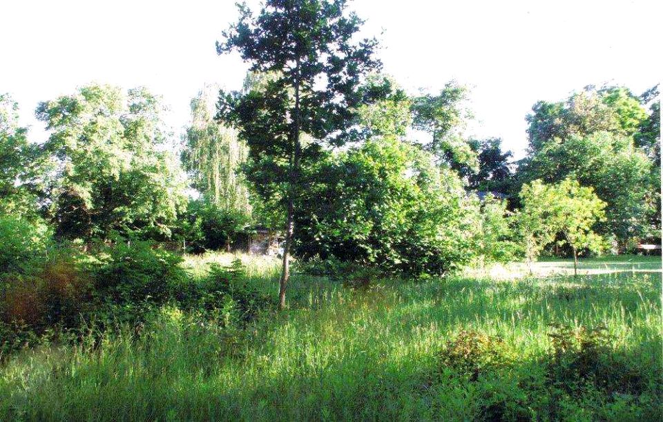 Działka inna Warszawa