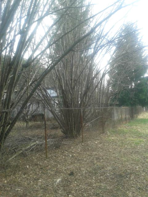 Działka budowlana Warszawa