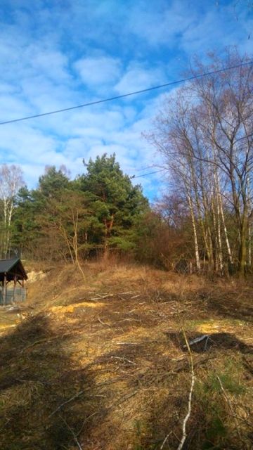 Działka usługowa Zielona Góra