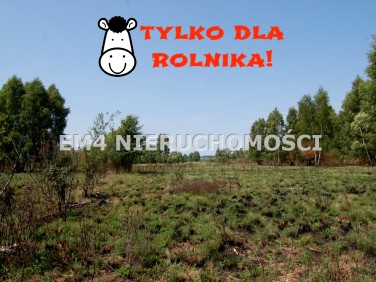 Działka rolna Dołki