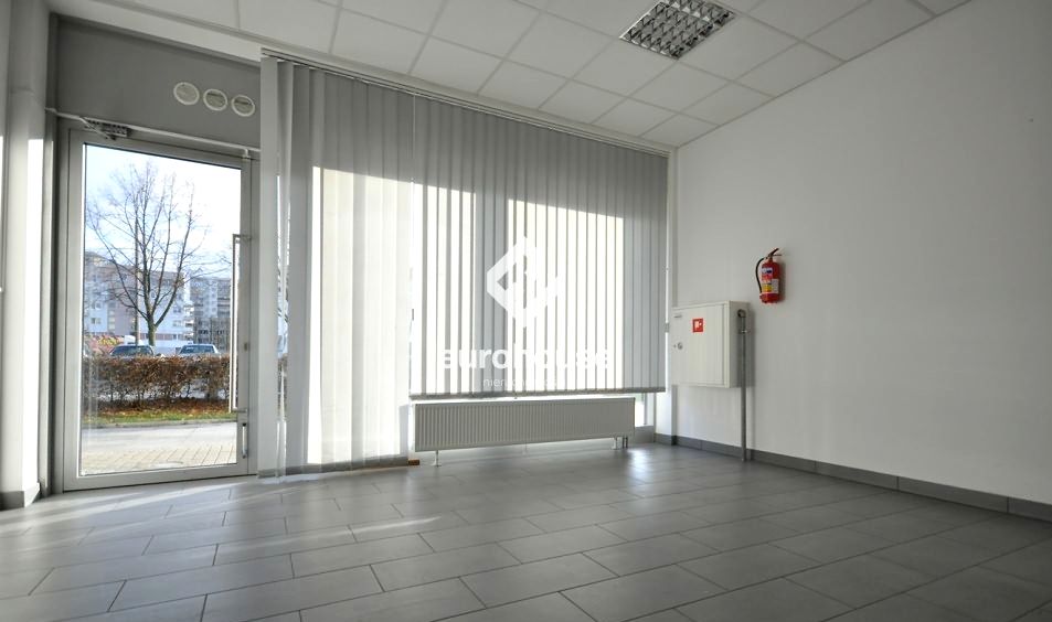 Lokal Warszawa