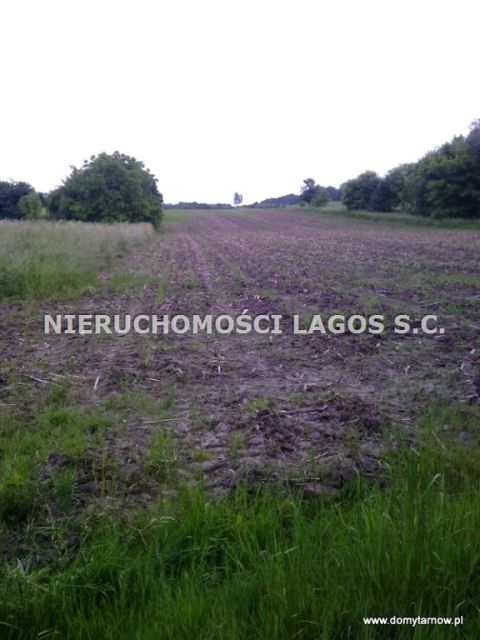 Pusta działka Tarnów