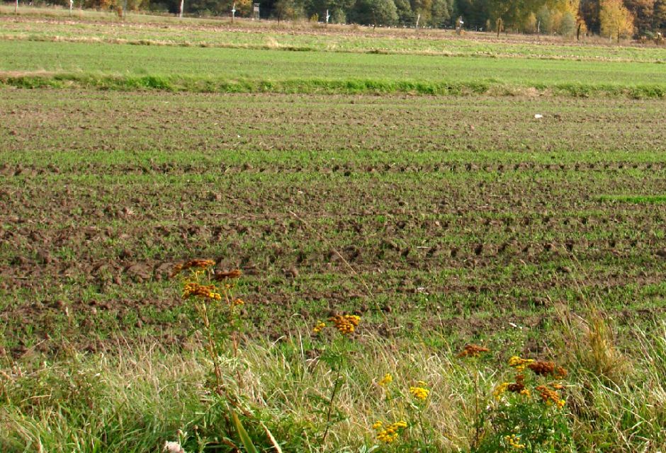 Działka budowlana Laskowice sprzedam