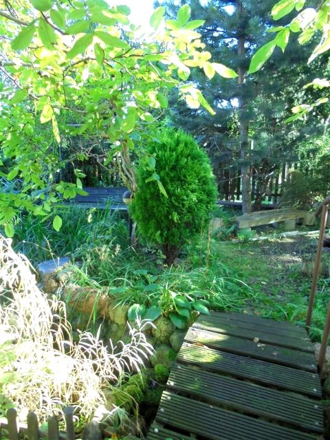 Działka inwestycyjna Gdynia