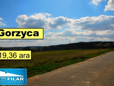 Pusta działka Gorzyca