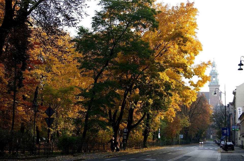 Budynek użytkowy Kraków
