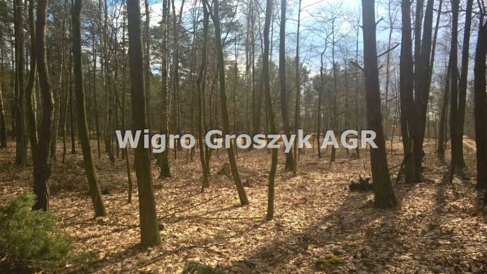 Działka budowlana sprzedam