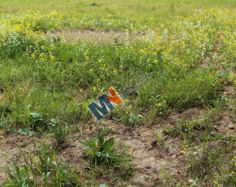 Pusta działka Warszawa