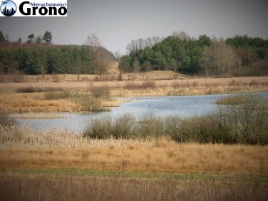 Działka budowlana Bojano