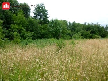 Działka budowlana Lednica Górna