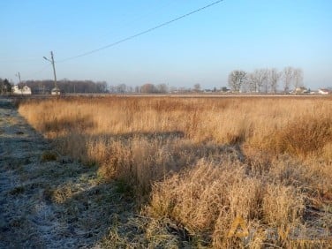 Działka budowlana Stare Faszczyce