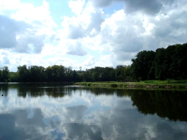 Działka Stare Czarnowo