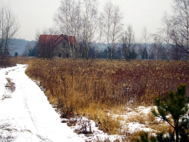 Działka budowlana Miłoszyce