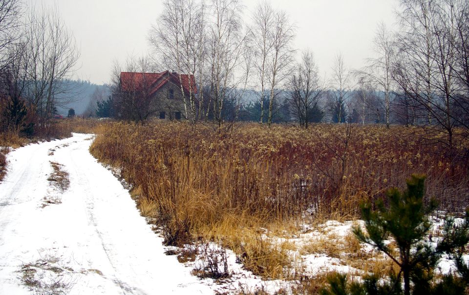 Działka budowlana Miłoszyce