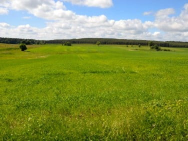 Działka rolna Podole Małe