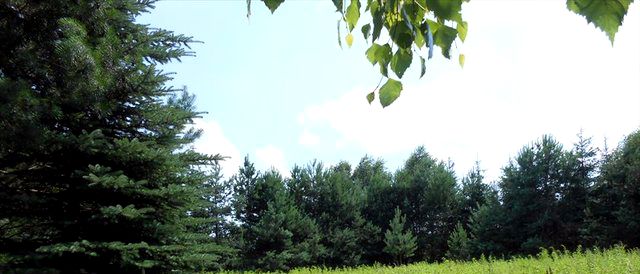 Działka budowlana Warszawa