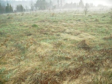 Działka budowlana Żelechów