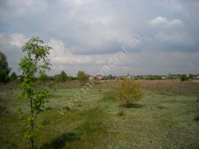 Działka siedliskowa Łazy
