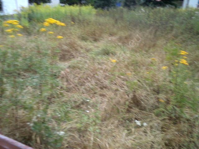 Działka inwestycyjna Warszawa