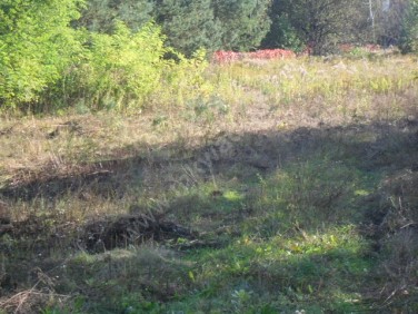 Działka budowlana Owczarnia