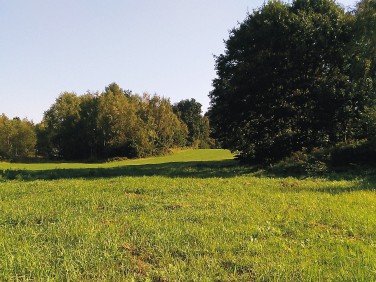 Działka budowlana Żory sprzedam