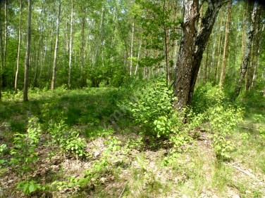 Działka budowlana Owczarnia