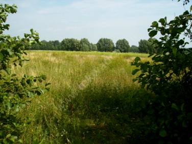 Działka rolna Holendry Baranowskie